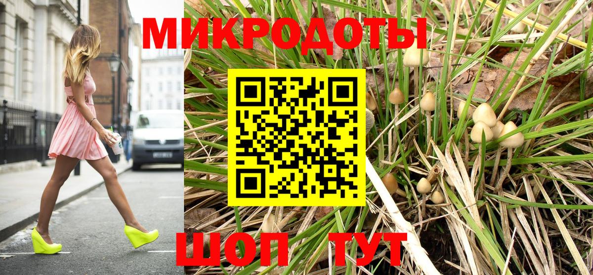Владимир  Галлюциногенные грибы Cubensis  Вход с VPN 